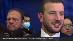 COP15 delegates nearing draft proposal to save world’s species News Clip