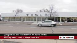 Tesla owner describes rise in anti-Musk sentiment | Hanomansing Tonight News Clip