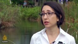 Everglades National Park ecosystem 'choking' News Clip