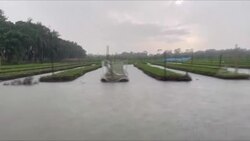 CLEAN : Floating farms, salt-resistant rice: Bangladeshis adapt to survive News Clip