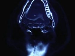 Virtual Archaeology: How Computer Tomography Changed Archaeology Instructional Video