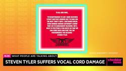 In Entertainment: Drew Barrymore Out, Steven Tyler Injured & Nintendo 'Direct' Livestream News Clip