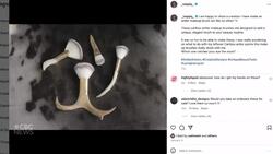 An Inuk carver transforms antlers into makeup brushes — each with their own story News Clip