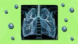 I WONDER - What Job Do Veins Do? Instructional Video