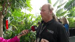 Ever wanted a butterfly to land on you? This museum exhibit is for you News Clip