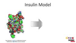 Why Aren't All Medicines Pills? Instructional Video