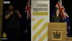 Teddy bear hunt goes viral News Clip