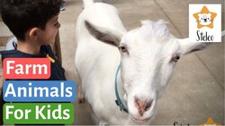 Old MacDonald Had a Farm Instructional Video