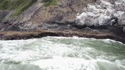 Aerials of Pacific coastline at Oregon News Clip