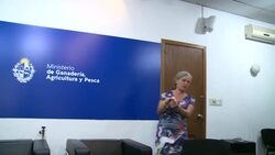 VOICED : Uruguay, el país de las cuatro vacas por persona, busca una ganadería más verde News Clip