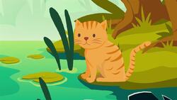 I WONDER - Can Tigers Swim? Me Pregunto - Pueden Nadar Los Tigres? Instructional Video