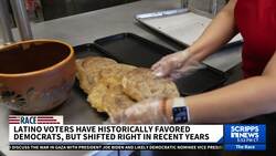 Kamala Harris shakes up the Latino vote News Clip