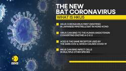 New coronavirus could infect humans via same route as COVID-19 News Clip