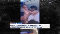 United Airlines flight from Miami to Newark diverted after passenger fights with flight attendant News Clip