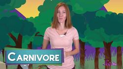 Frog or Toad? Instructional Video