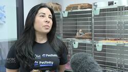How smoky air can impact pets, too Instructional Video