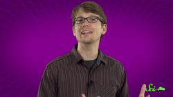 Why Do Dogs Eat Grass? Instructional Video