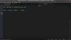 Bash Shell Scripting - "case" Statement Instructional Video