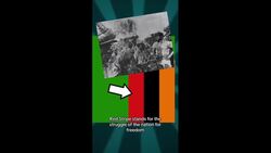 Flag / Coat of arms of ZAMBIA Instructional Video