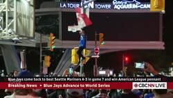 Delirious Blue Jays fans pour into the streets of Toronto News Clip