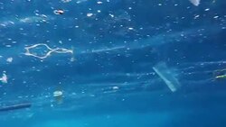 Fish swimming in Ocean garbage patch of plastic Stock Footage