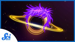 Do Black Holes Have Quantum Hair? Instructional Video