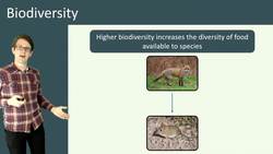 The Importance of Biodiversity in Ecosystems Instructional Video