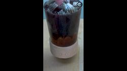 I wouldn't be surprised if Mr. Trump wanted to buy this Piece Instructional Video