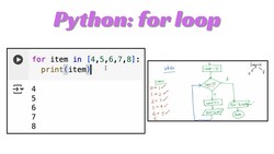 Python Lesson 24: for loop Instructional Video