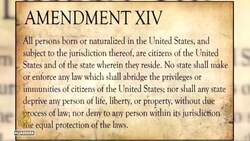 Trump vows to end US birthright citizenship, but experts say it needs a constitutional amendment News Clip