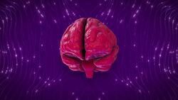 Why Do Some People Have Such a Good Memory? Instructional Video