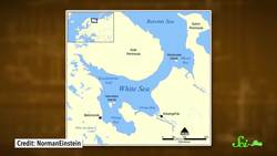 The Oldest Known Animal May Be a Weird, Fleshy Oval | SciShow News Instructional Video