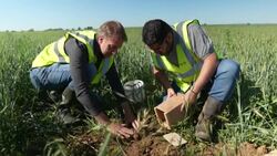 CLEAN : Hamsters released in France's Alsace region to offset environmental impact of motorway News Clip