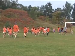 Fundamentals of Genetics: Introduction Instructional Video