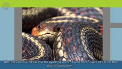 10 Secret Senses You Didn't Know You Had Instructional Video