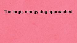 Nouns and Adjectives Instructional Video