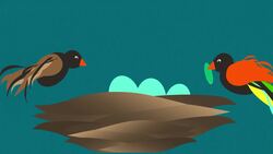 Monogamy Instructional Video