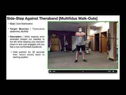 Core Stabilization | Theraband Side-Steps & Pallof Presses Instructional Video