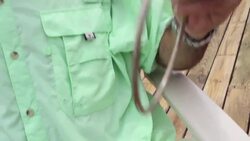 How to Tie an Advanced Clinch Knot for Saltwater Fishing Instructional Video