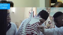 Anatomy tools Instructional Video