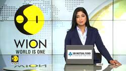 Humpback whale swallows kayaker, spits him out unharmed News Clip