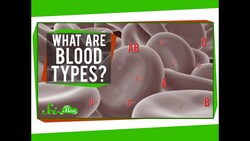 What are Blood Types? Instructional Video