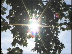 Magnetism: Magnetism in Our Solar System Instructional Video