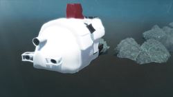 Scientists discover 85 miles of deep-sea coral reef off Atlantic Coast Instructional Video