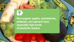 How to Have a Green Pregnancy Instructional Video