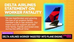 Delta Airlines Worker Ingested Into Plane Engine News Clip