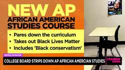 College Board Revises AP African American Studies Curriculum News Clip