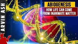 How Life Began: Understanding Abiogenesis and the Origin of Life Instructional Video