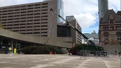 Toronto's unveils official tree for 2018 holiday season News Clip