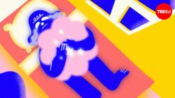 TED-Ed: How to deal with rejection | TED-Ed Instructional Video